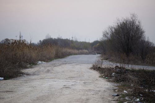 Бесплатное стоковое фото с выборочный фокус, за городом, осень