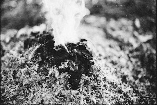 Grayscale Photo of Burning Dry Leaves