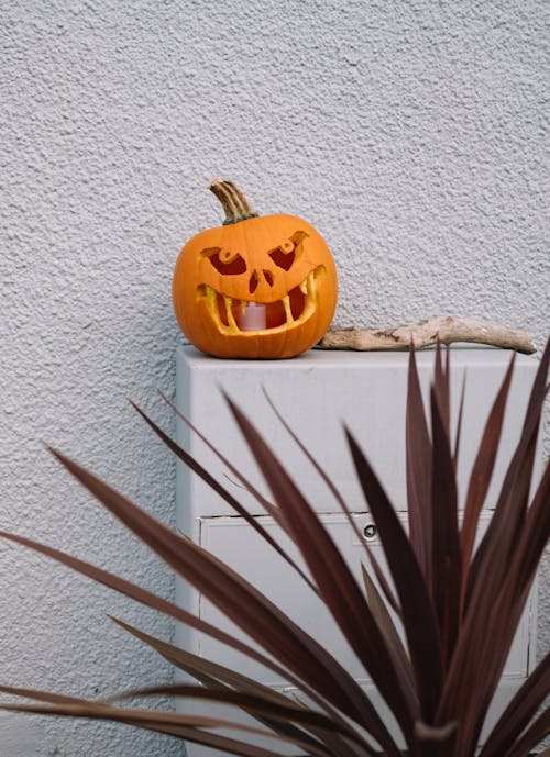 Jack-O'-Lantern Near a White Wall