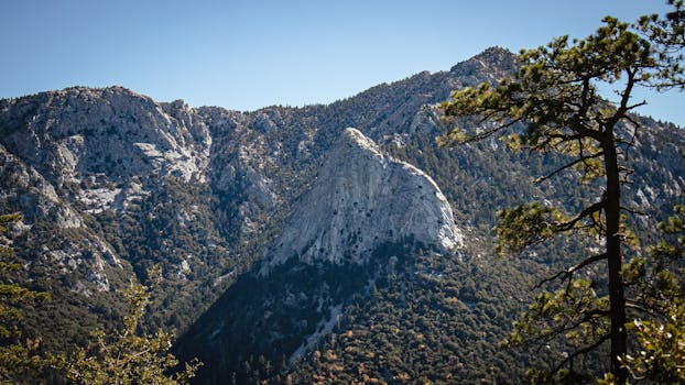Breathtaking view of rugged mountains and dense forest in California, USA.
