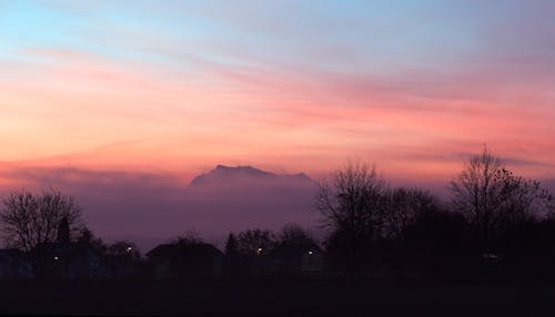 Foto profissional grátis de alvorecer, árvores nuas, cair da noite