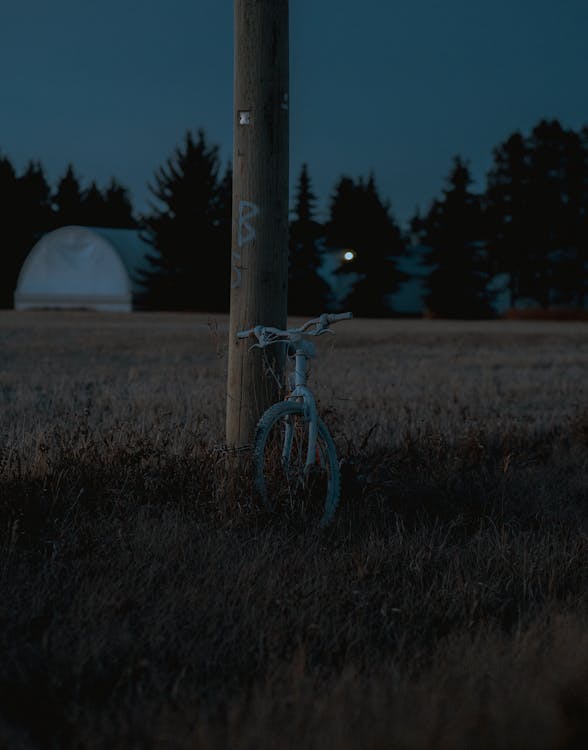 Bicycle near Field in Evening