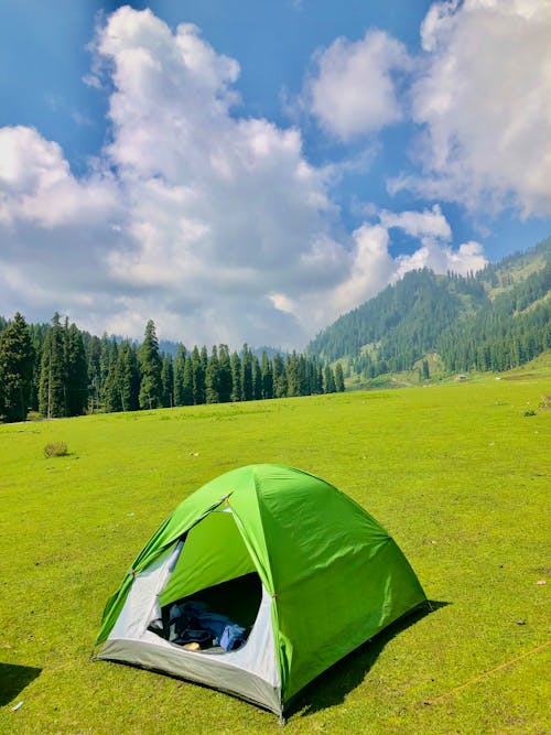 Imagine de stoc gratuită din camping, codru, cort