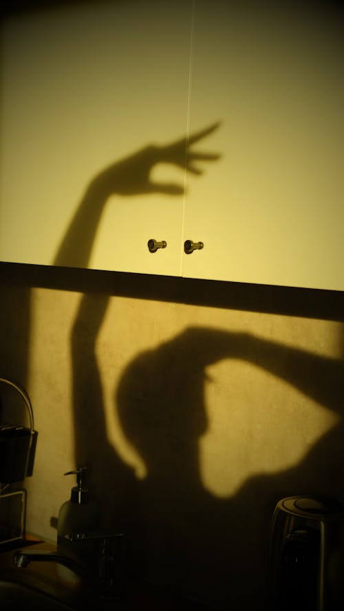 Persons Shadow on Wall