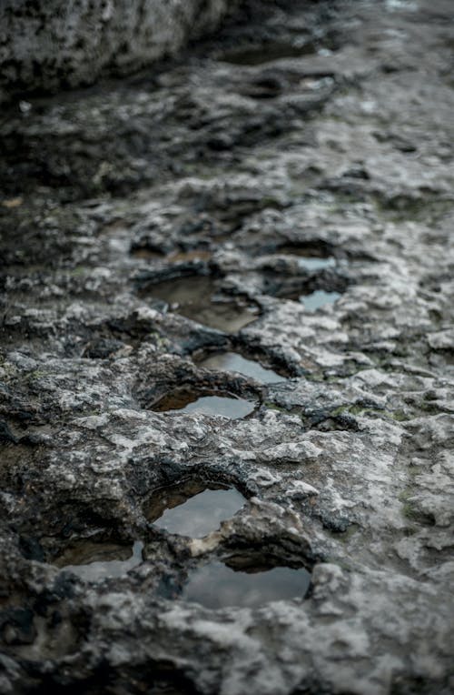 Puddles on Wet Ground