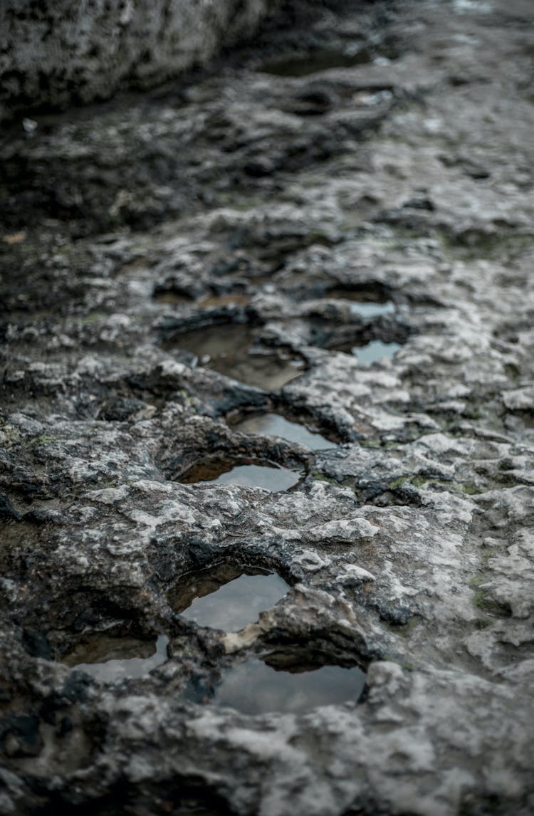 Puddles On Wet Ground