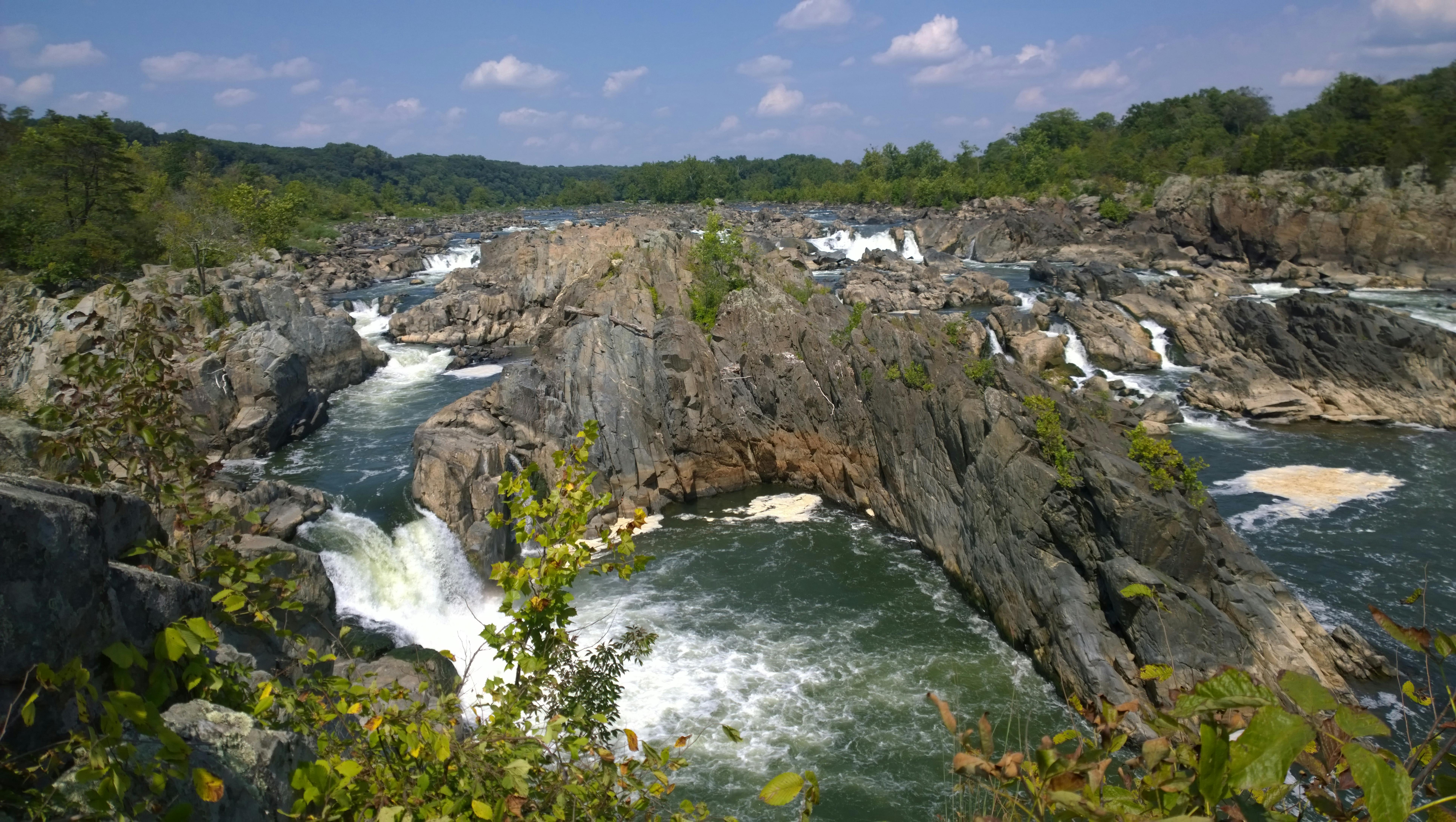 금괴와 동전 더미가 쌓여 있는 이미지