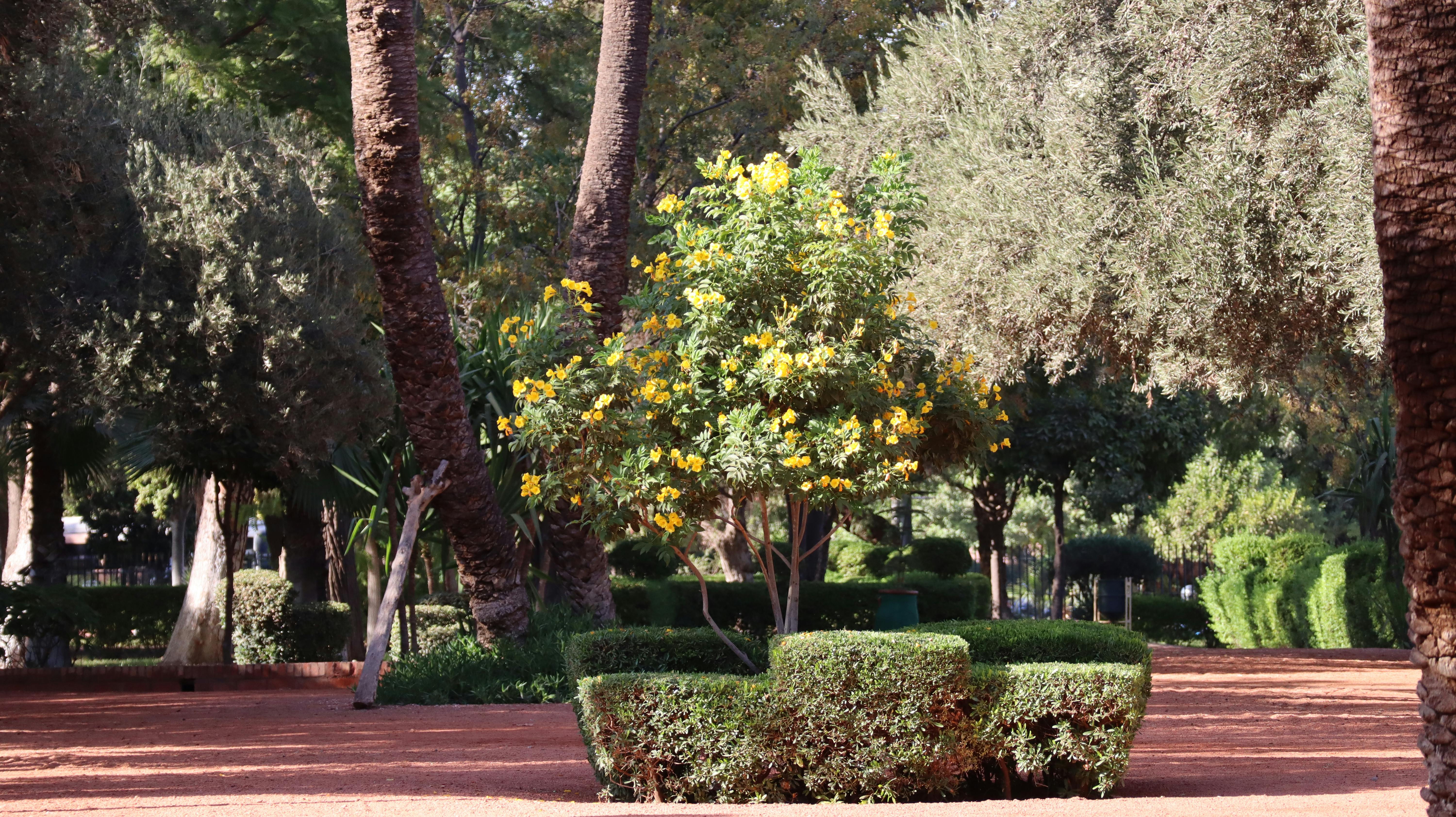 Ein luxuriöses Camp während einer Premium Wüstensafari Dubai bei Sonnenuntergang.