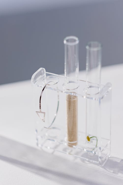 Close up on Test Tubes