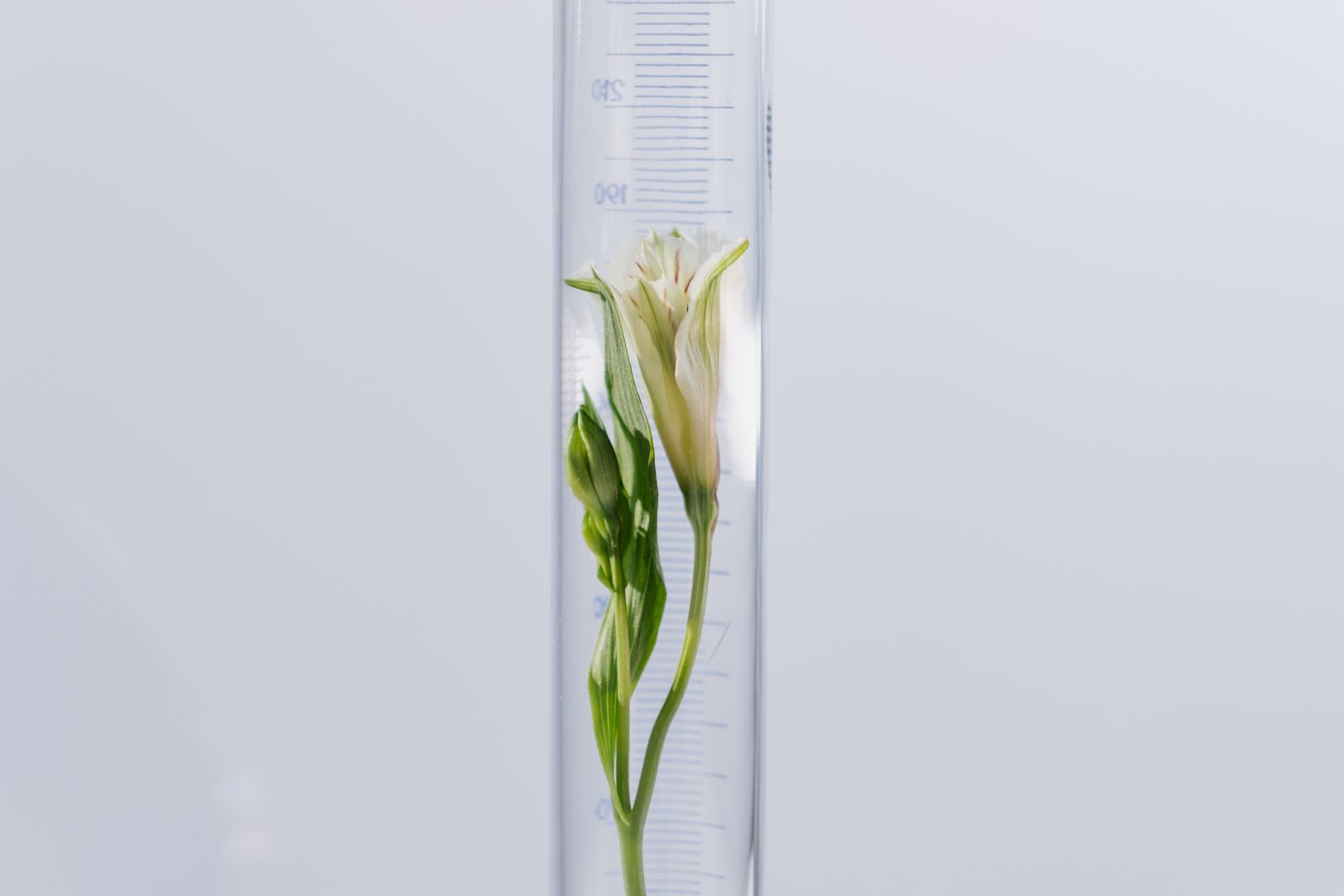 Kosmetická chemie