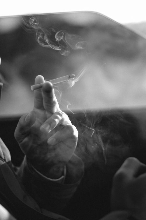 herbal cigarettes no nicotine White Leaf Premium Herbal Cigarettes No Tobacco/Nicotine Clove Flavor 100  Stick With Shot Smoking Cessations Price in India