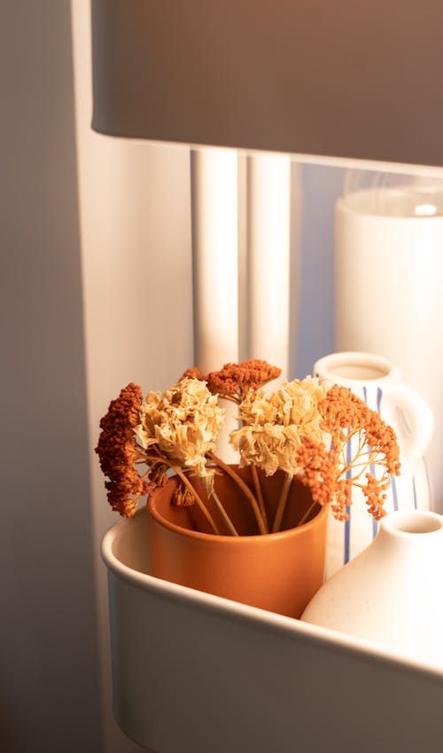 Still Life with Porcelain Vases and Dry Flowers