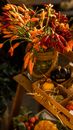 Orange and Green Flowers on Brown Wooden Basket