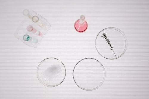 Laboratory Equipment and Petri Dish