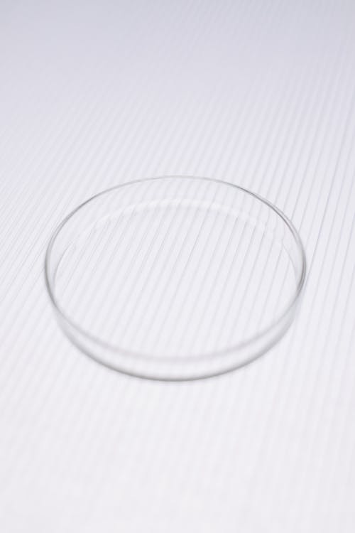 Close-Up View of Petri Dish