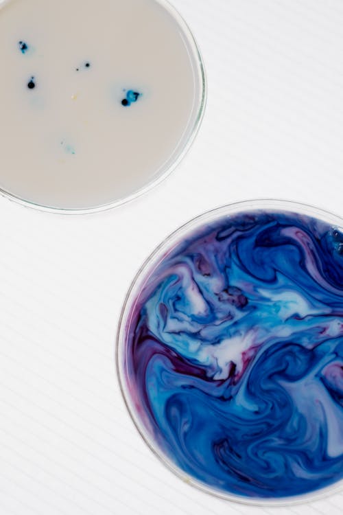 Liquids in Petri Dishes