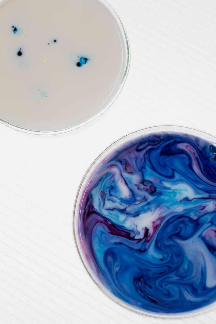 Liquids In Petri Dishes