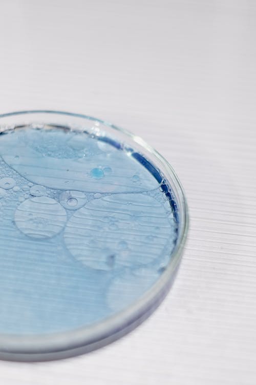 A Close Up at a Blue Liquid in Petri Dish 
