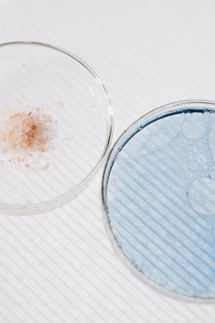 Petri Dishes On Table