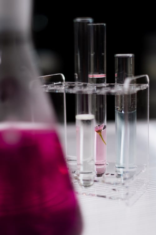 Test Tubes Covered by Flask with Liquid