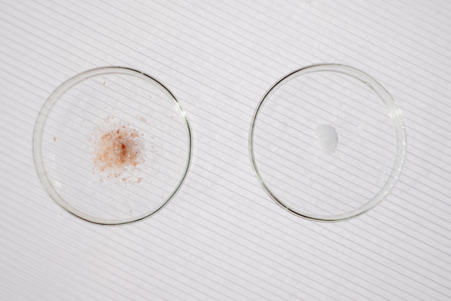 Top view of a minimalist chemistry experiment with two petri dishes on a white background.