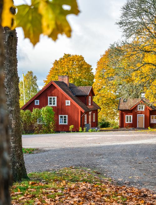 Free Rustic red wooden houses surrounded by vibrant autumn leaves in a peaceful countryside setting. Stock Photo