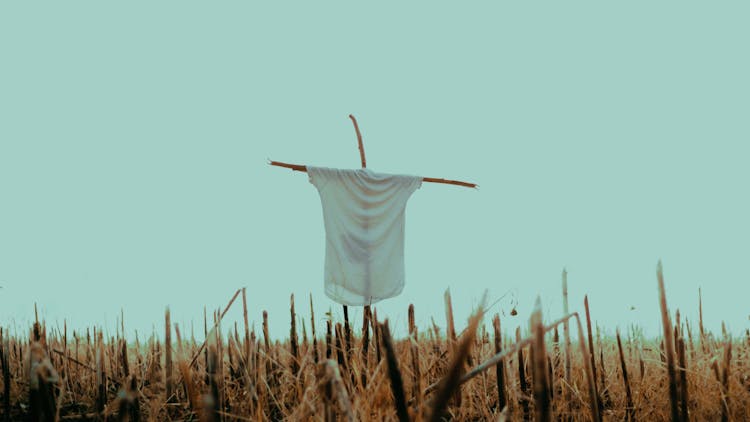 Scarecrow In A Field Stubble 