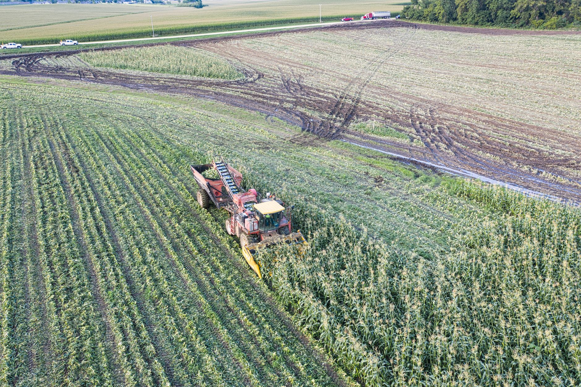 Farm Compliance Burden Threatens Restaurant Supply Chains And Wholesale Prices