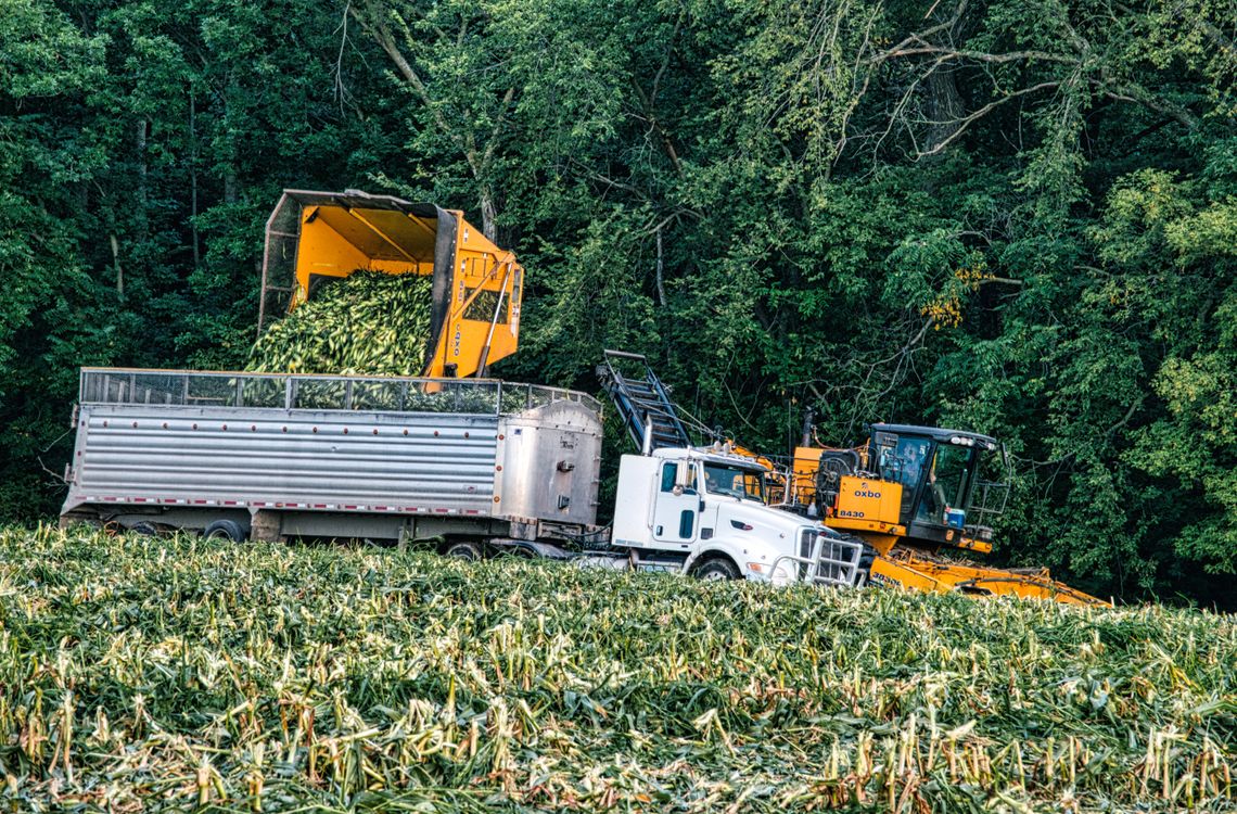 Heavy Machinery Loading Crops in a Trailer · Free Stock Photo