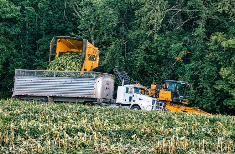 Heavy Machinery Loading Crops In A Trailer