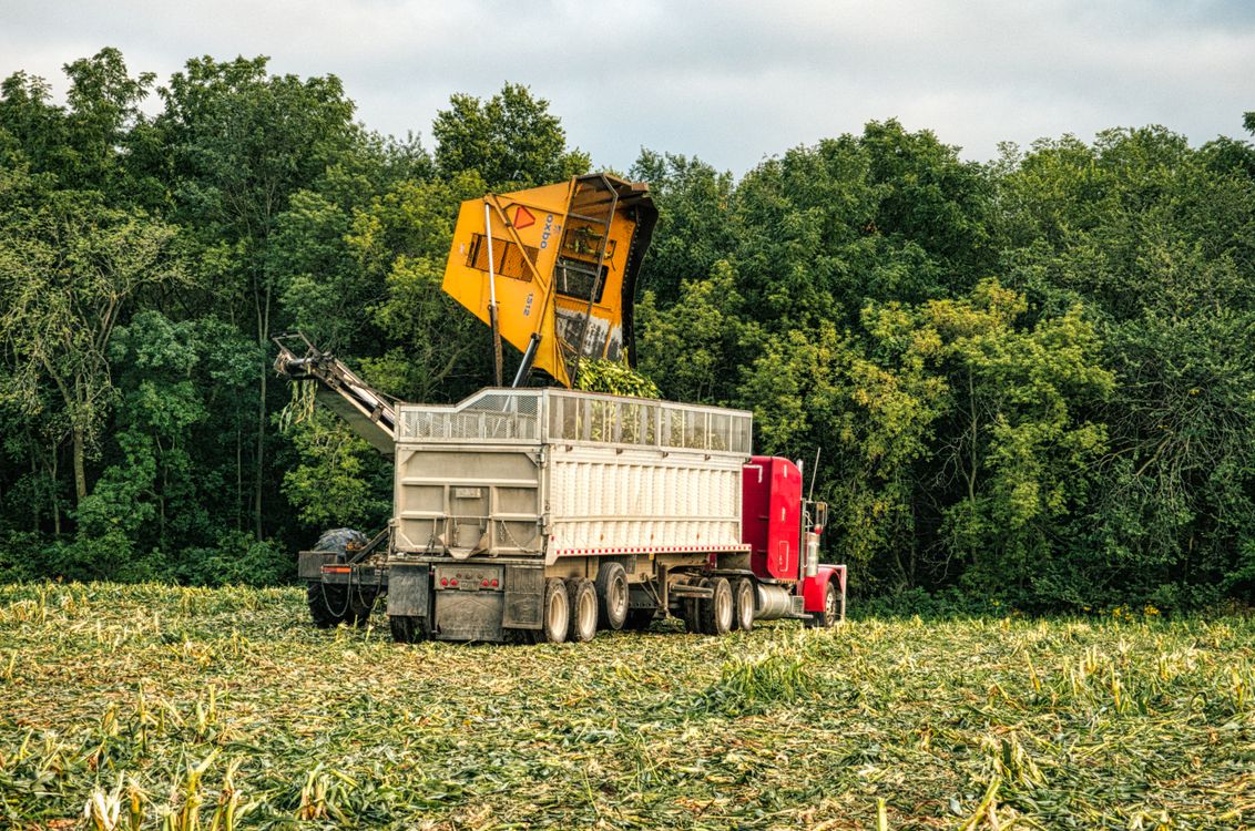 Loading Truck during Harvesting in Summer · Free Stock Photo