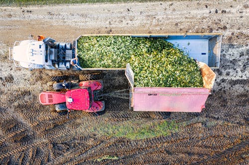 Birds Eye View of a Tractor Loading Crops into a Trailer