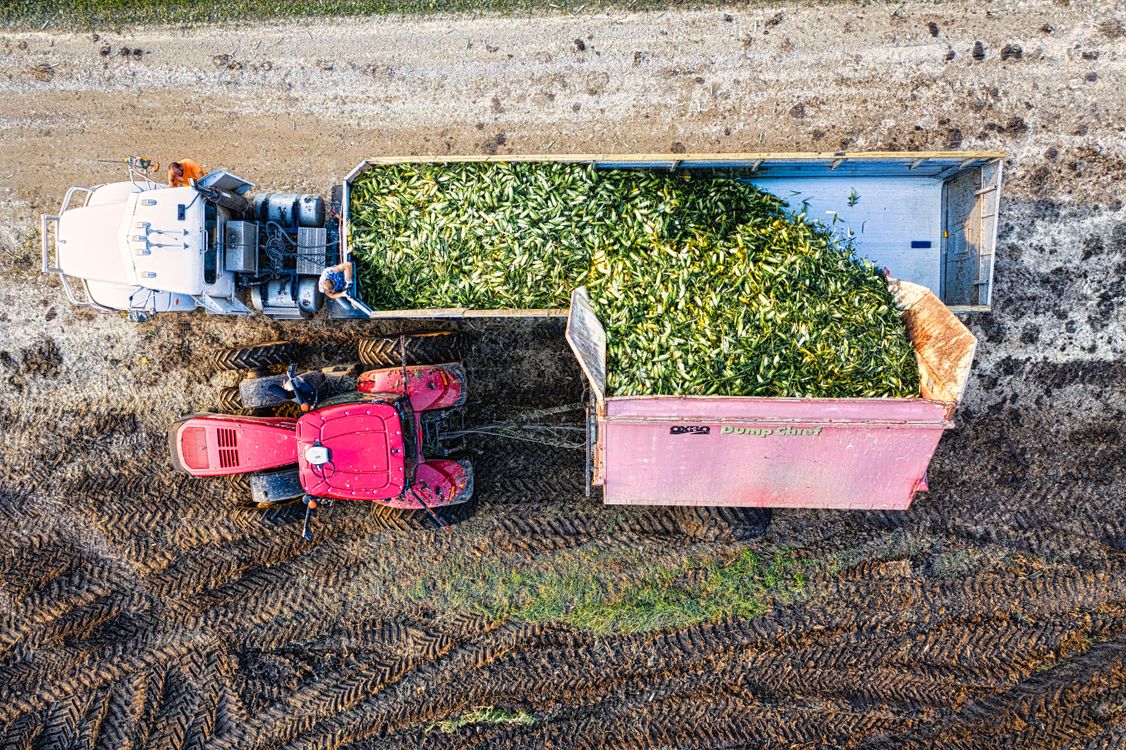 Birds Eye View of a Tractor Loading Crops into a Trailer · Free Stock Photo
