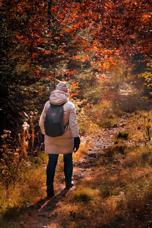 Kostenloses Stock Foto zu gehen, herbst, person