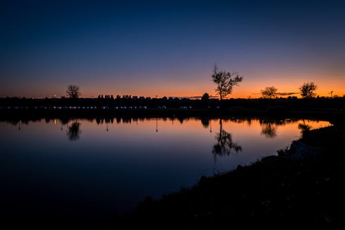 Silhouette of Trees Near Body of Water during Sunset