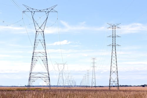 Free Electricity Pylons in a Field  Stock Photo