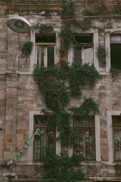 Free Aged building facade with ivy growth and vintage charm in an urban setting. Stock Photo