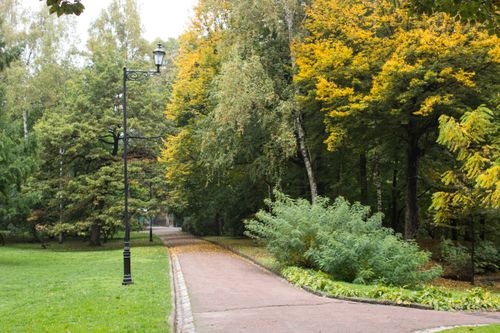 Free Peaceful park scene with pathway, trees, and autumn foliage. Perfect for outdoor relaxation. Stock Photo