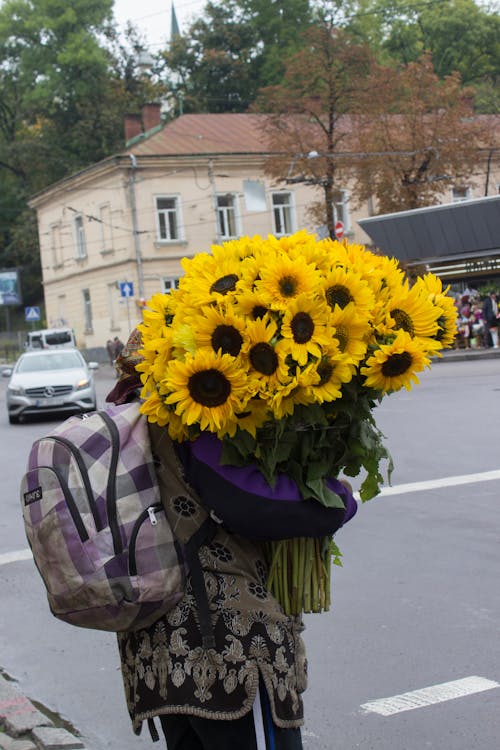 Gratis stockfoto met bloemen, iemand, vasthouden