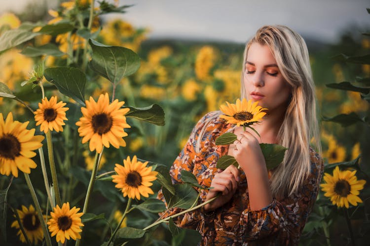 Blonde Woman On Sunflowers Field