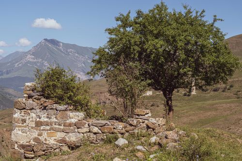 Free A captivating landscape featuring stone ruins, a tree, and a mountain backdrop under a blue sky. Stock Photo