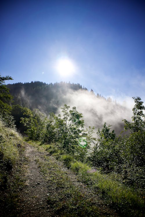 Kostnadsfri bild av bergen, blå, dimma