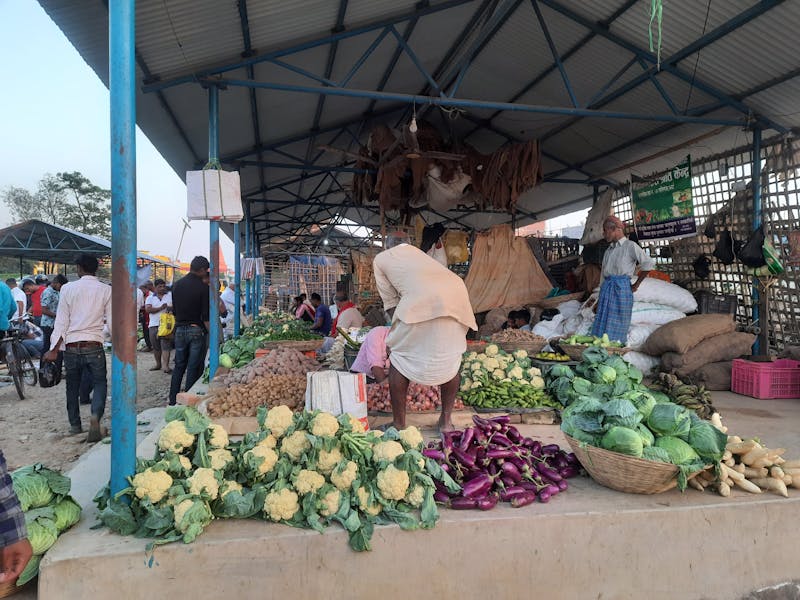 Close up of Organic Turmeric Matcha powder