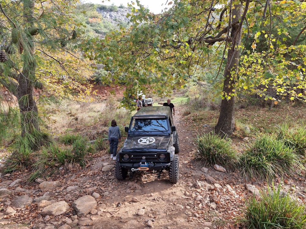 People with Jeep in Forest