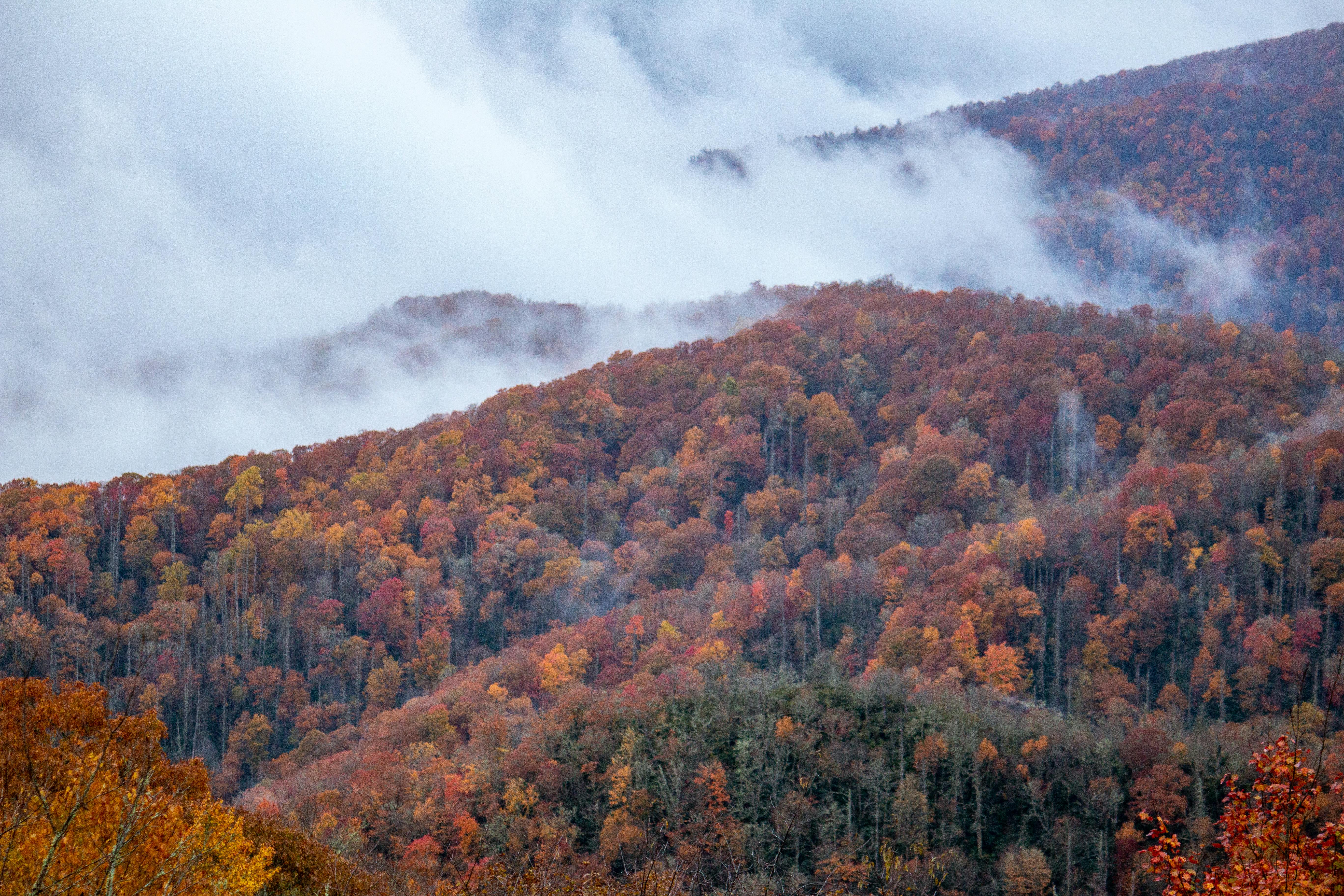 State Parks Series: Bald Eagle State Park has a plethora of outdoor recreation to choose from — Photo by Richard Wilson on Pe