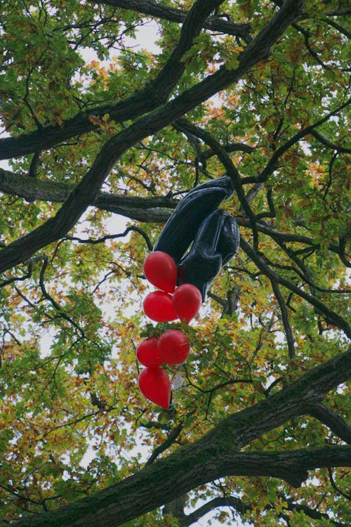 Foto profissional grátis de árvore, balões, fechar-se