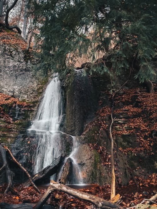 Waterfalls Near Tree