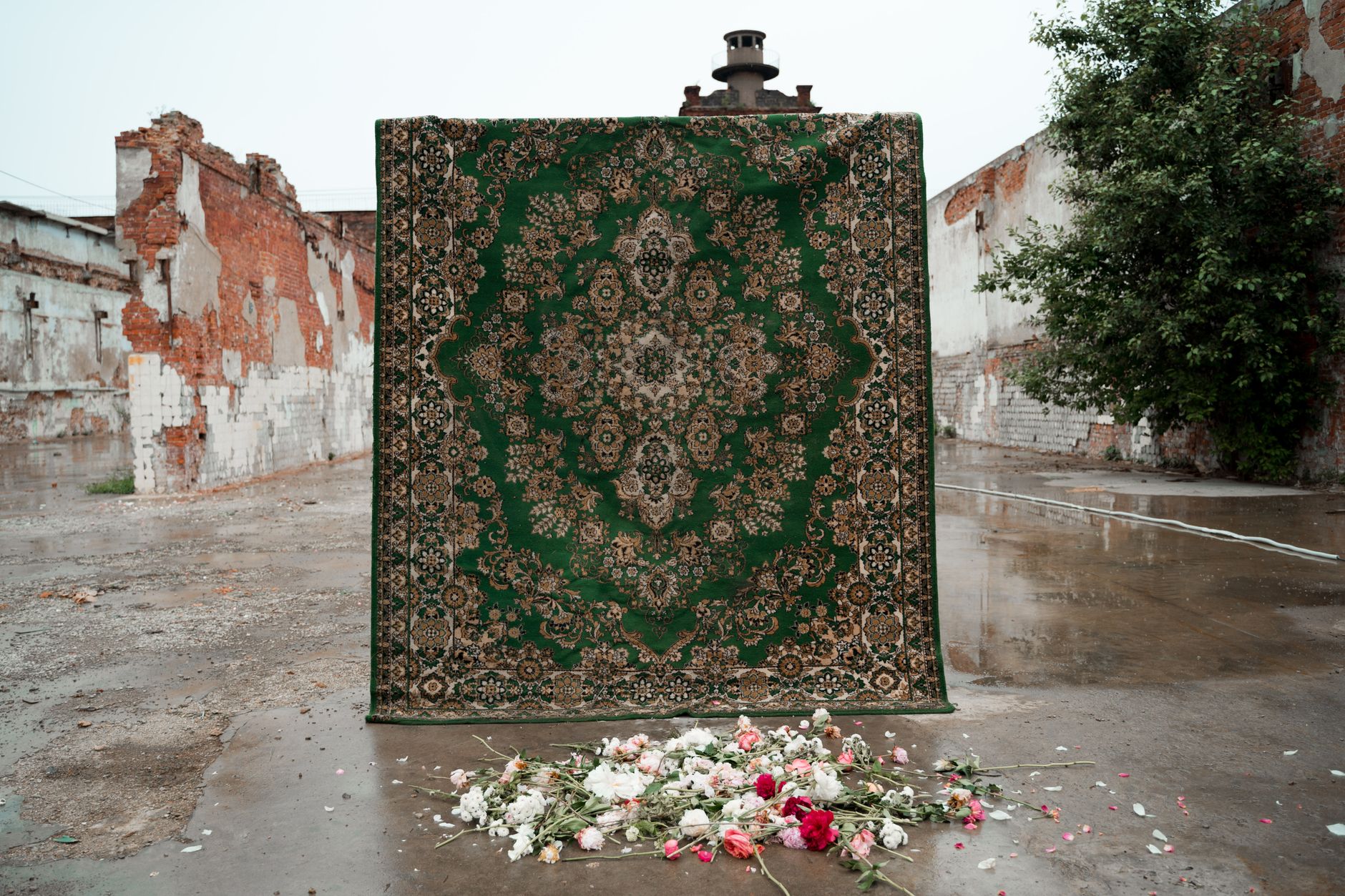 Replace your carpet