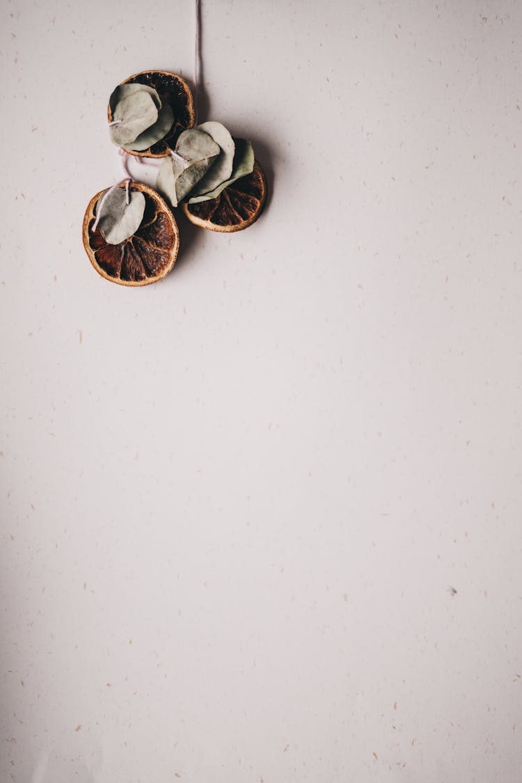 Dried Eucalyptus Leaves And Slices Of Orange 