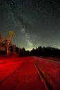 一条被红色灯光照亮的道路穿过森林，美丽地捕捉了星空与银河